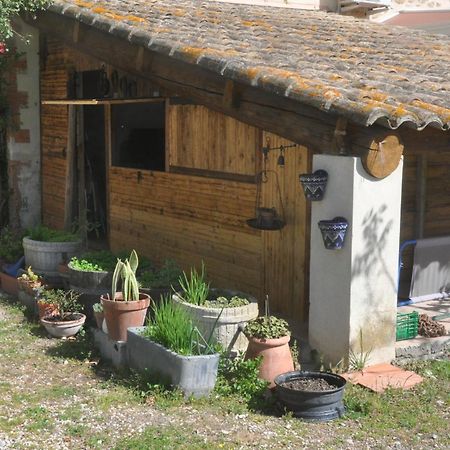Отель La Ferme De Tonton Jules 2 Антрег-сюр-ла-Сорг Экстерьер фото